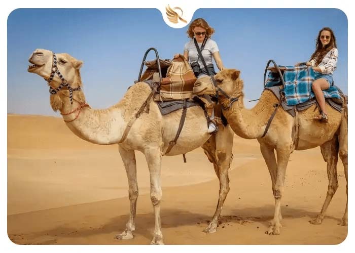 تفریح شتر سواری در صحرا دبی