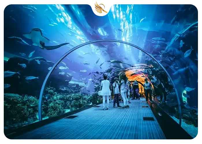 آکواریوم دبی و باغ وحش زیر آب (Dubai Aquarium & Underwater Zoo)